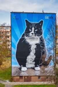 Pomorze Zachodnie docenione za murale. Street art z ekologicznym przekazem wyróżniony