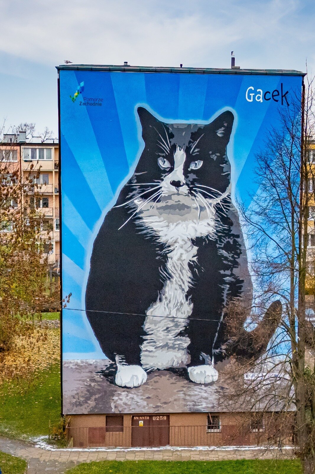 Pomorze Zachodnie docenione za murale. Street art z ekologicznym przekazem wyróżniony
